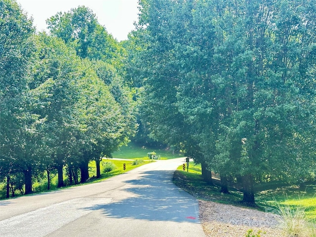 00 Plantation Drive 40 & 41, Marion, NC 28752 - photo 3