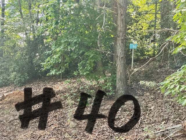 00 Plantation Drive 40 & 41, Marion, NC 28752 - photo 4