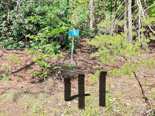 00 Plantation Drive 40 & 41, Marion, NC 28752 - photo 5