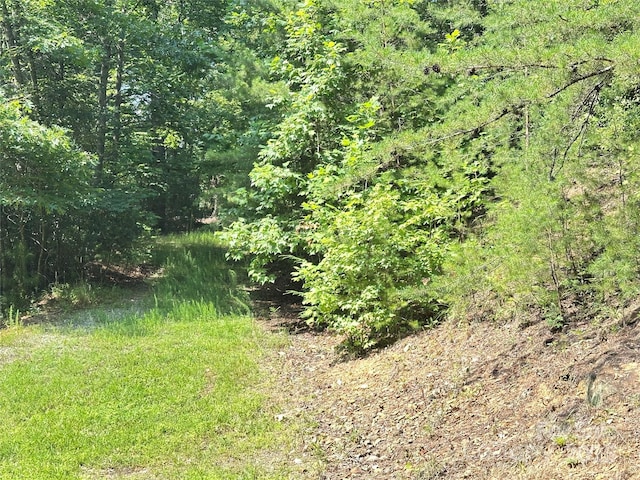 00 Plantation Drive 40 & 41, Marion, NC 28752 - photo 6