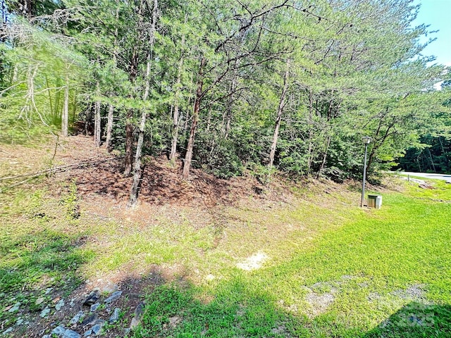 00 Plantation Drive 40 & 41, Marion, NC 28752 - photo 7