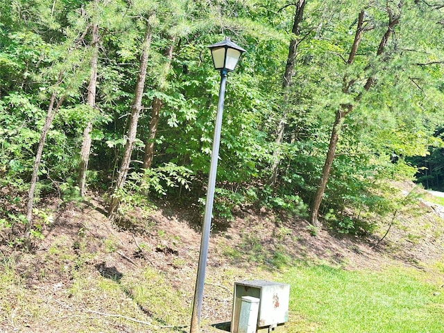00 Plantation Drive 40 & 41, Marion, NC 28752 - photo 9