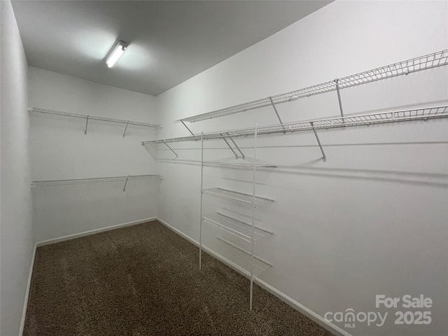 2834 Ritz Ln, Matthews, NC 28105 - walk in closet featuring dark carpet