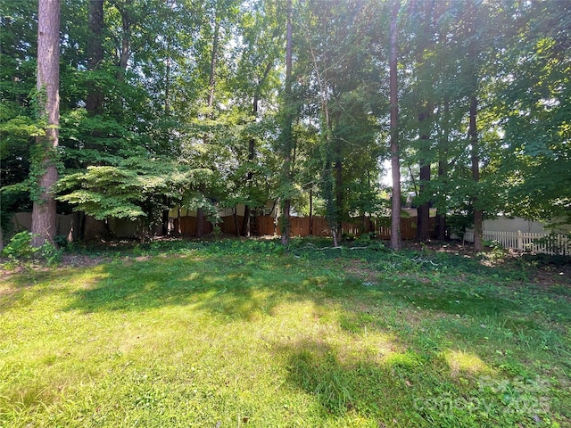 2834 Ritz Ln, Matthews, NC 28105 - view of yard