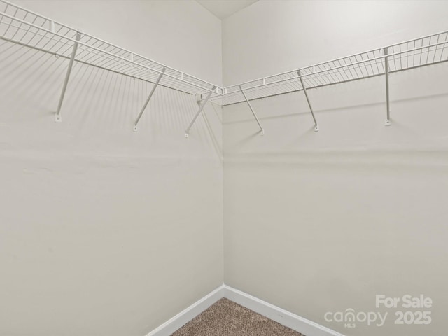 6411 Royal Celadon Way, Charlotte, NC 28269 - photo 18