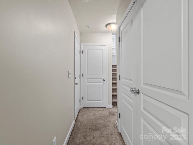 6411 Royal Celadon Way, Charlotte, NC 28269 - photo 25
