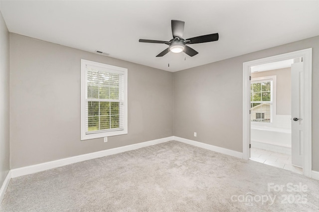 1164 Bradford Mountain Rd, Lenoir, NC 28645 - photo 13