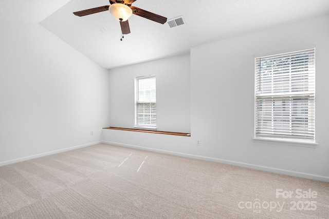 9911 Birch Knoll Ct, Charlotte, NC 28213 - photo 11