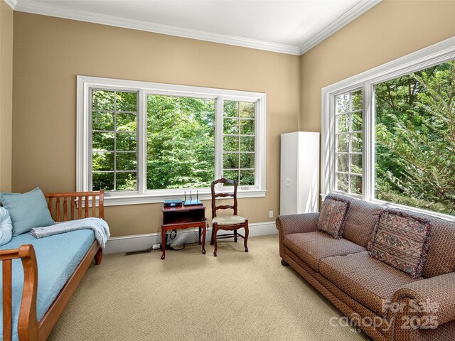 672 Walnut Valley Pkwy, Arden, NC 28704 - photo 27