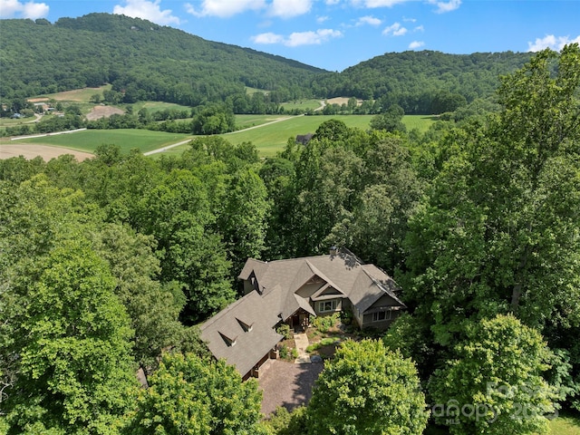 672 Walnut Valley Pkwy, Arden, NC 28704 - photo 34