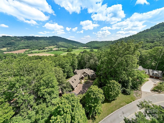 672 Walnut Valley Pkwy, Arden, NC 28704 - photo 35