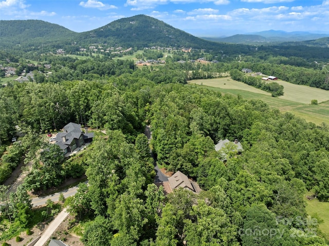 672 Walnut Valley Pkwy, Arden, NC 28704 - photo 37