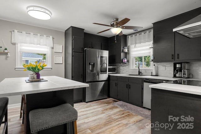 305 E Marion St, Kershaw, SC 29067 - kitchen with stainless steel appliances, dark cabinets, backsplash, ceiling fan, and light wood-style floors