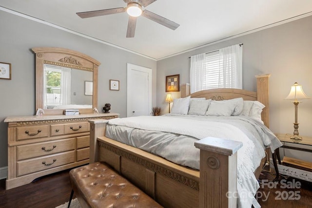 305 E Marion St, Kershaw, SC 29067 - bedroom with ornamental molding, dark wood-style flooring, and a ceiling fan