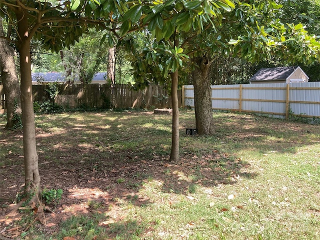 1162 Brighton Pl, Charlotte, NC 28205 - view of fenced backyard