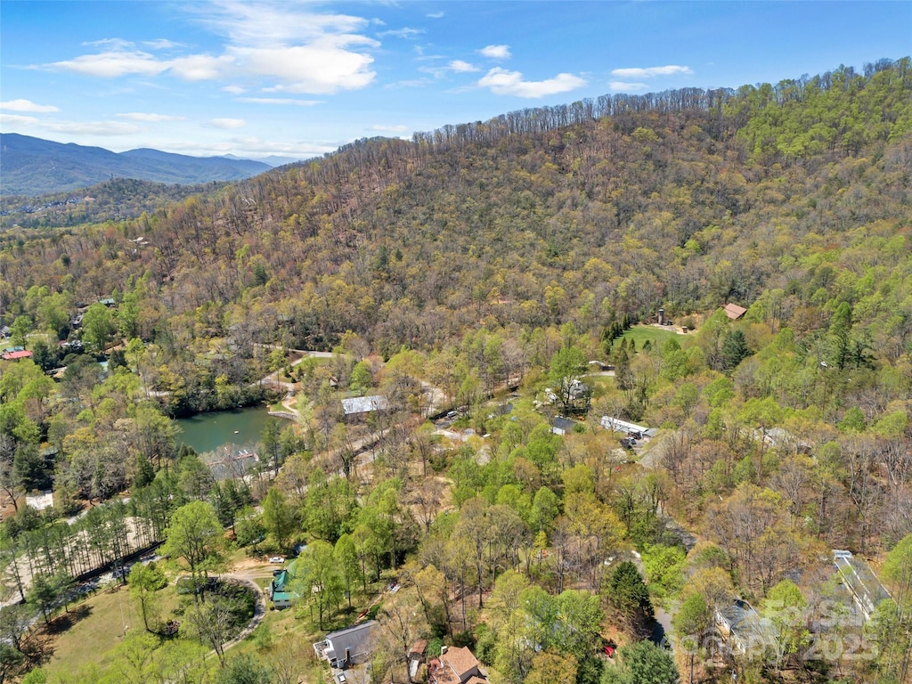 TractB Carolina Heights, Black Mountain, NC 28711