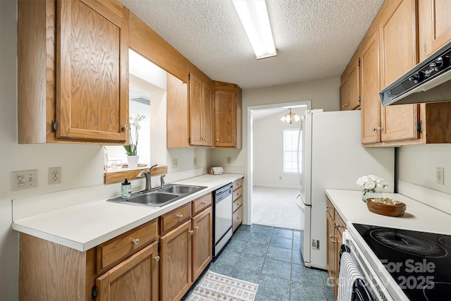 659 Primrose Ln NW, Concord, NC 28027 - kitchen with dishwasher, under cabinet range hood, light countertops, a textured ceiling, and carpet flooring