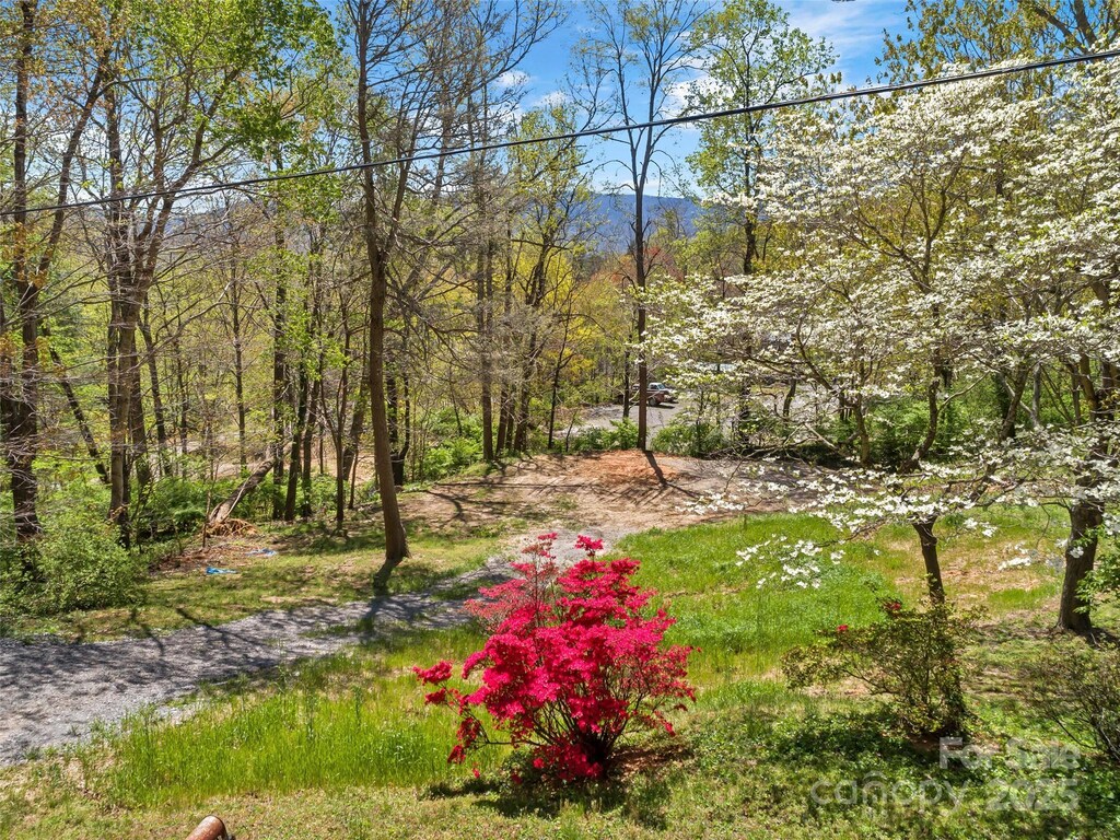 TractC Carolina Heights, Black Mountain, NC 28711