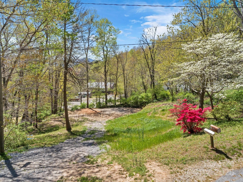 TractC Carolina Heights, Black Mountain, NC 28711