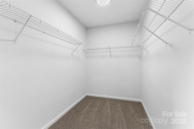 6907 Spandril Ln, Charlotte, NC 28215 - walk in closet featuring carpet