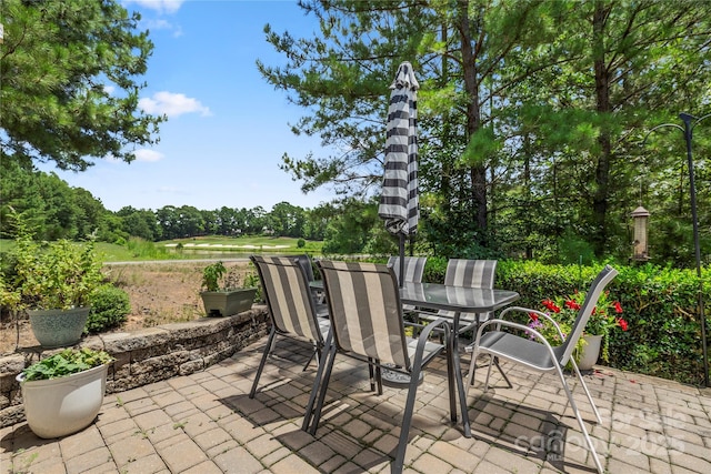 48527 Snapdragon Ln, Indian Land, SC 29707 - photo 28