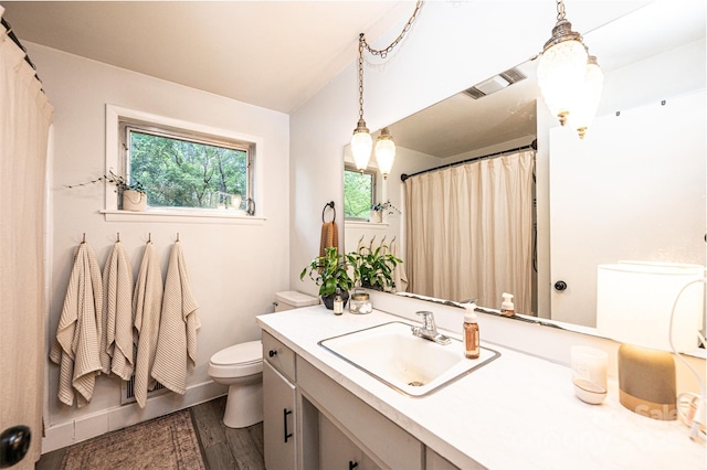 464 23rd Avenue Dr NE, Hickory, NC 28601 - full bath featuring vanity, wood finished floors, and a shower with curtain