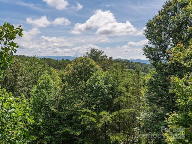 422 Day Lily Dr, Leicester, NC 28748 - photo 5