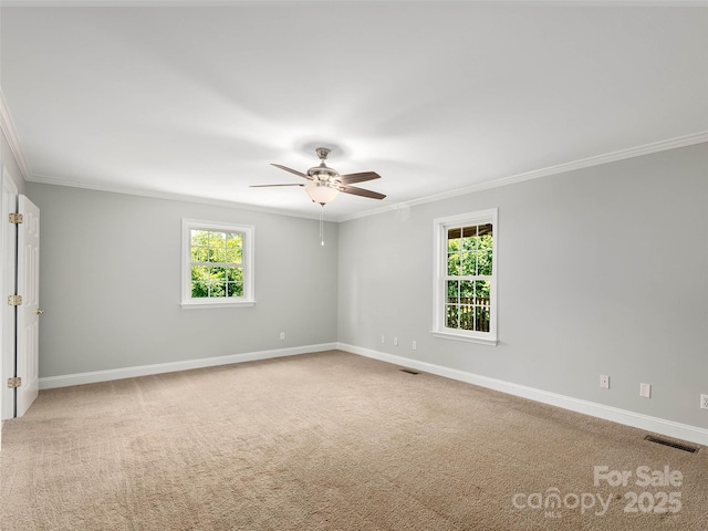 422 Day Lily Dr, Leicester, NC 28748 - photo 23