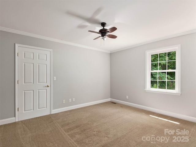 422 Day Lily Dr, Leicester, NC 28748 - photo 28
