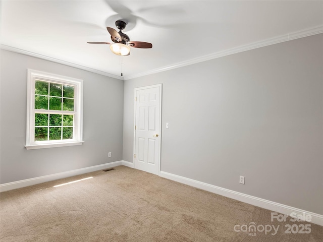 422 Day Lily Dr, Leicester, NC 28748 - photo 30