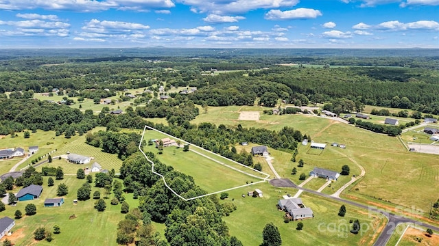 1310 Maple Lee Ct, Crouse, NC 28033 - photo 46