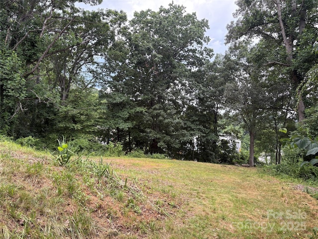 53 Logan Cir, Asheville, NC 28806 - photo 8