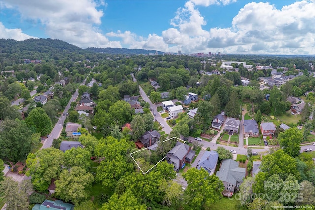 59 Linden Ave, Asheville, NC 28801 - photo 31