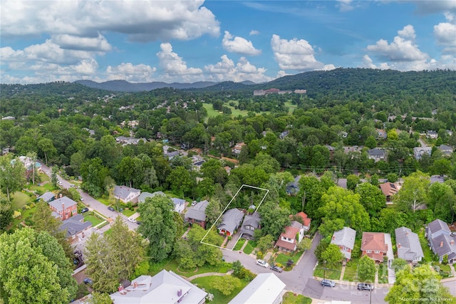 59 Linden Ave, Asheville, NC 28801 - photo 32