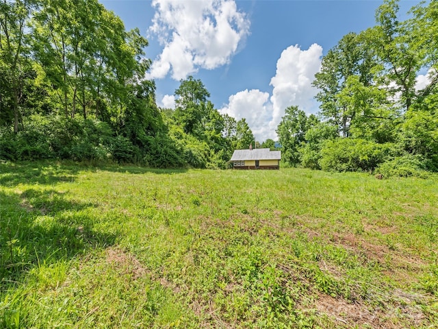 55 Shook St, Clyde, NC 28721 - view of yard featuring a forest view