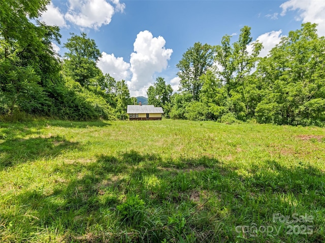 55 Shook St, Clyde, NC 28721 - view of yard