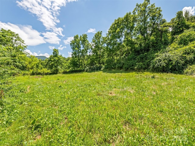 55 Shook St, Clyde, NC 28721 - view of yard