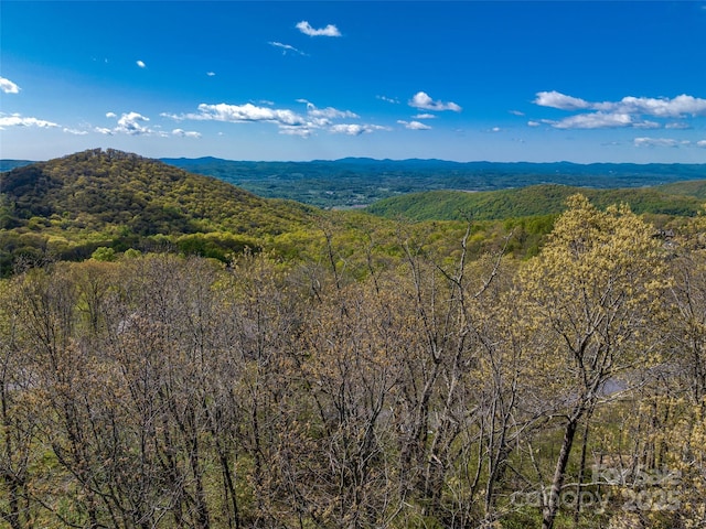416 Summerset Dr Unit 83, Hendersonville, NC 28792