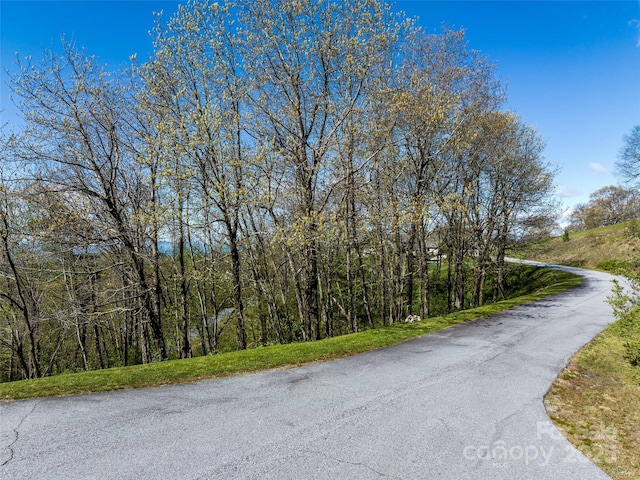 416 Summerset Dr Unit 83, Hendersonville, NC 28792