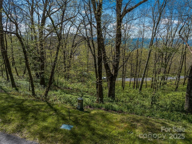 416 Summerset Dr Unit 83, Hendersonville, NC 28792