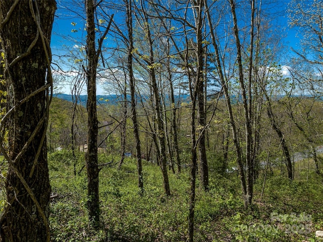 416 Summerset Dr Unit 83, Hendersonville, NC 28792