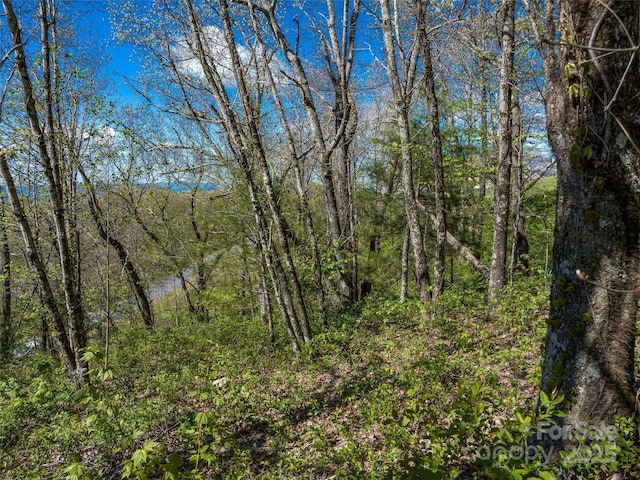 416 Summerset Dr Unit 83, Hendersonville, NC 28792
