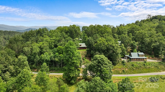 55 Kirkland Mountain Ln, Bryson City, NC 28713 - bird's eye view of a heavily wooded area