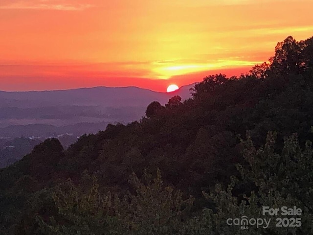 153 Country Ridge Rd, Laurel Park, NC 28739 - view of mountain backdrop