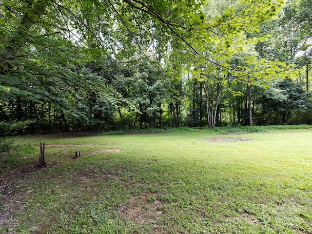 7100 Lea Wood Ln, Charlotte, NC 28227 - photo 36