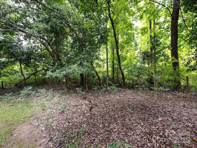 7100 Lea Wood Ln, Charlotte, NC 28227 - photo 37