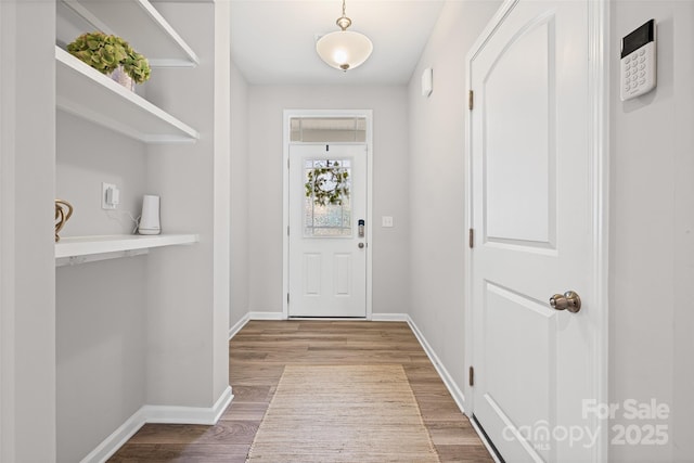 15626 Little Bluestem St, Charlotte, NC 28278 - entryway with wood finished floors and baseboards