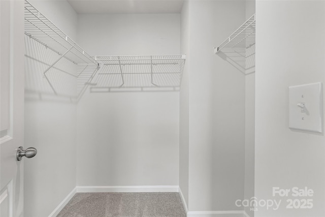 15626 Little Bluestem St, Charlotte, NC 28278 - walk in closet featuring carpet flooring