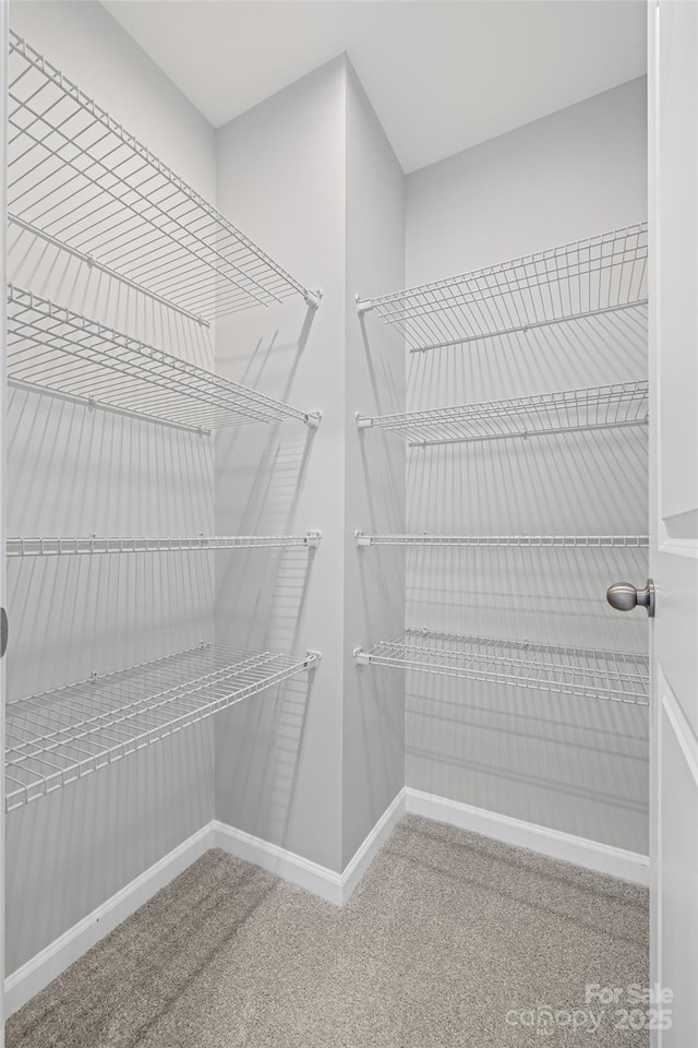 15626 Little Bluestem St, Charlotte, NC 28278 - view of pantry