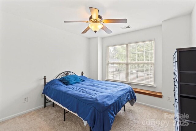 11649 Coddington Ridge Dr, Charlotte, NC 28214 - photo 13
